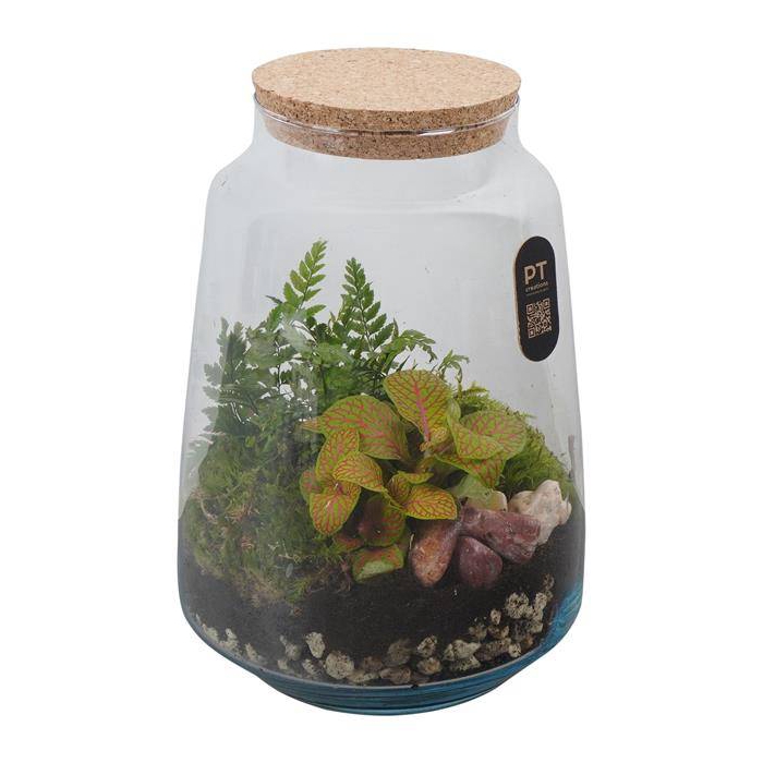 <h4>arr. Kamerplanten groen H%</h4>