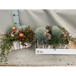 ARR TUINPLANTEN