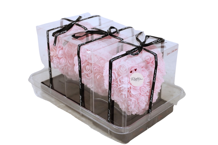 <h4>ARR ROSA POT H%</h4>