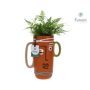 Terracotta Facepot met Athyrium