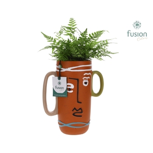Terracotta Facepot met Athyrium
