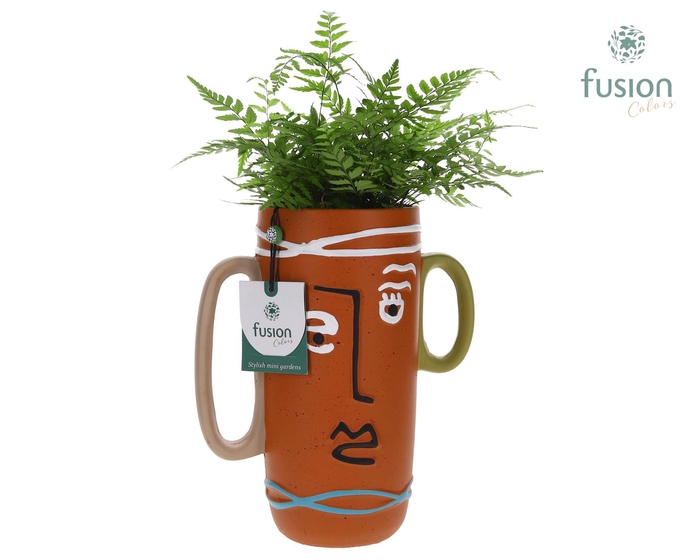 <h4>Terracotta Facepot met Athyrium</h4>