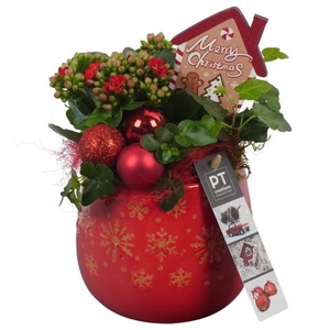 PTCHR7208 Arrangement Christmas Red in keramiek pot