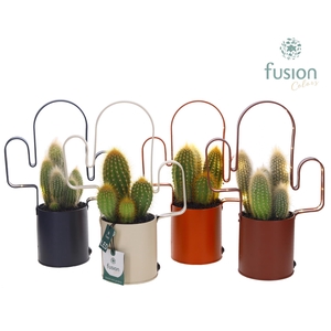LED planter zink Cactusvorm met Cactus