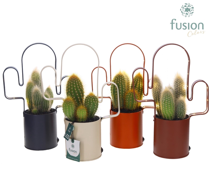 <h4>LED planter zink Cactusvorm met Cactus</h4>