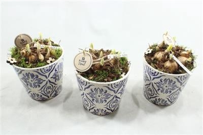 <h4>3820 Ker Blauw/wit Tete</h4>