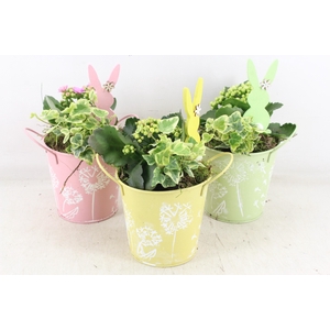 arr2 JS - Zink pastel emmer x6