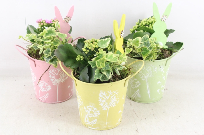 <h4>arr2 JS - Zink pastel emmer x6</h4>