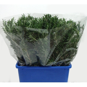 ROSMARINUS 200GR