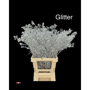 Waxflower Silver + Glit Bio