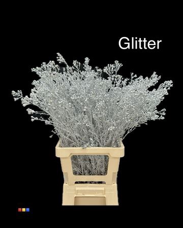 Waxflower Silver + Glit Bio