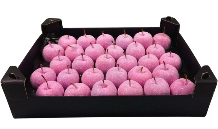 <h4>WAX APPEL H%</h4>