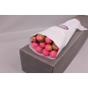 Paeonia Etched Salmon | Heavy Quality