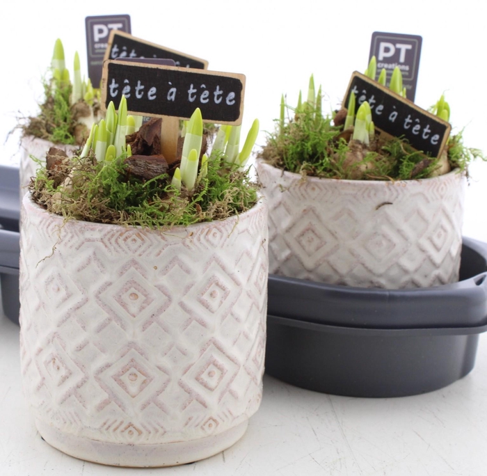 <h4>ARR N TETE A TETE</h4>