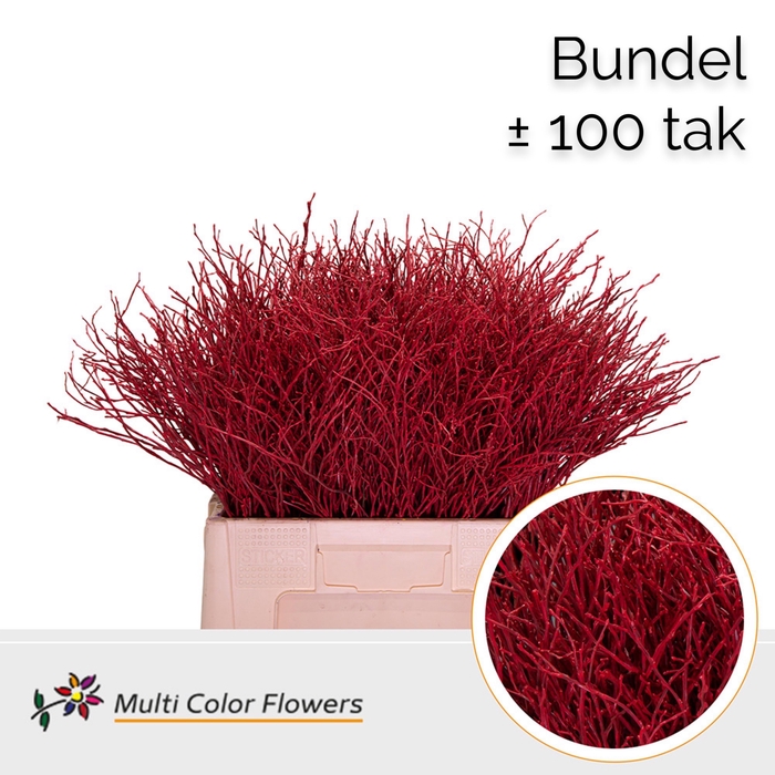 <h4>Heidelbeer (Bundel) Rood</h4>