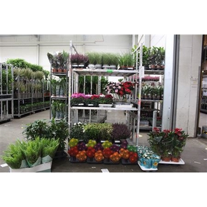 ** Aanb** Plant Mix **151st** Pm 9 - Pm19