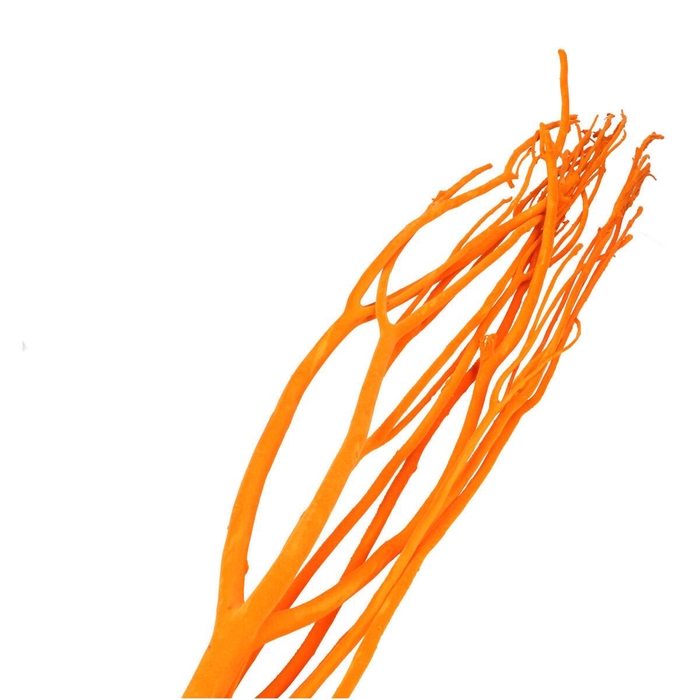 <h4>Droogdeco Mitsumata vlok 115cm x3</h4>