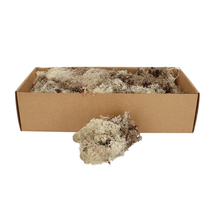 <h4>Preserved Rendiermos 400-500g</h4>