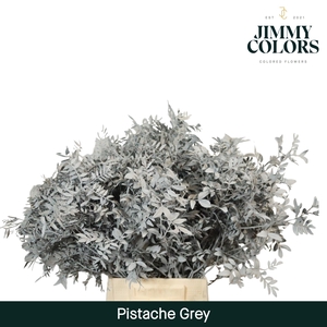 Pistache L50 Grey