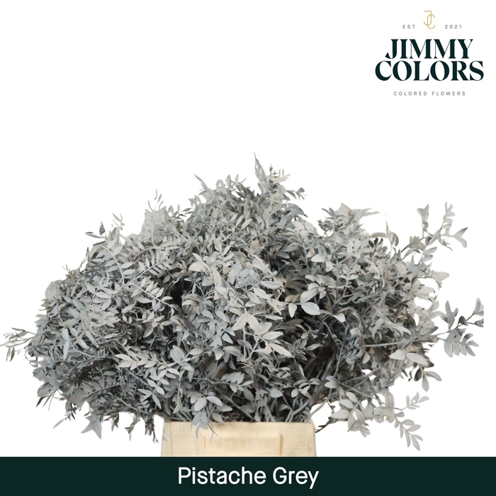 <h4>Pistache L45 Grey</h4>