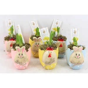 arr4 Narcis FL - Easter bunny/chicken