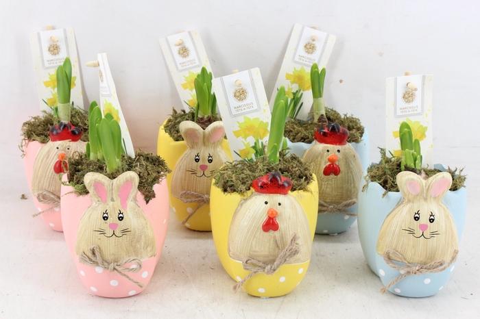 <h4>arr4 Narcis FL - Easter bunny/chicken</h4>