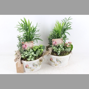 arr2 TD - MDF schaal rond - roze/wit