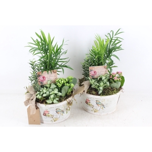 arr2 TD - MDF schaal rond - roze/wit