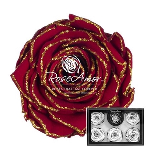 Pr 1 Glitter Gold Red01 Xl