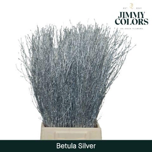 Betula L70 Mtlc. Zilver