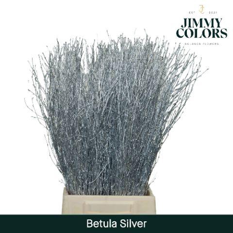<h4>Betula L70 Mtlc. Zilver</h4>