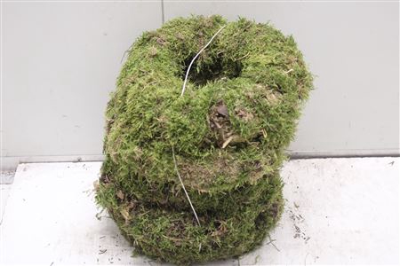 <h4>Krans Moss 30cm</h4>