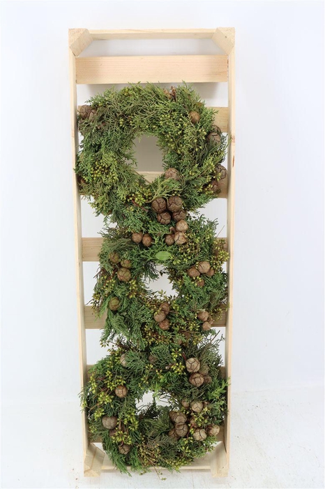 <h4>Wr Cypresse Exotica Berry 30cm</h4>