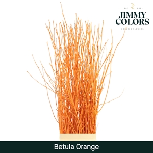 Betula L120 Orange