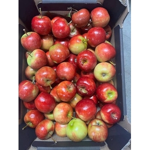 SIERFRUIT LAK APPELS