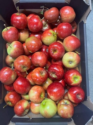 <h4>SIERFRUIT LAK APPELS</h4>