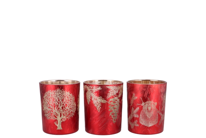 Ruby Red/gold T-light Forrest Ass 7x8cm