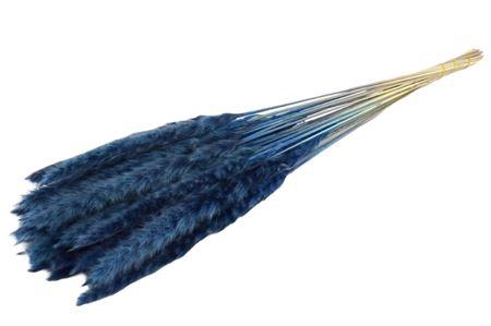 Bunch Fluffy Pampas Slv 35g L70