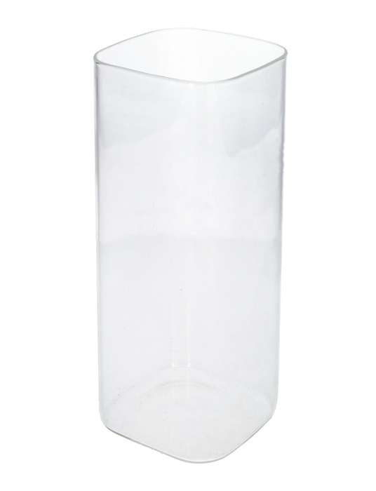 <h4>DF01-666564200 - Vase Rienzi 10x10x25 clear</h4>