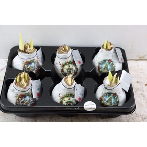 Wax Hipp Crafts Christmas Eve Mix