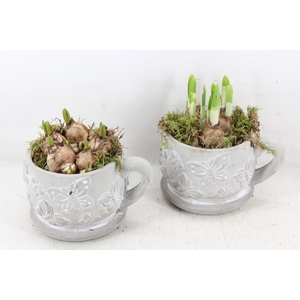 arr4 Bollenmix JS - Ker. mok vlinder