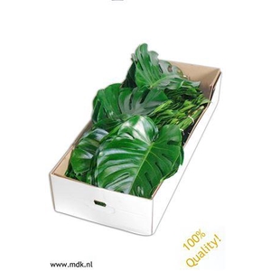 Monsterablad Quality Greens Doos