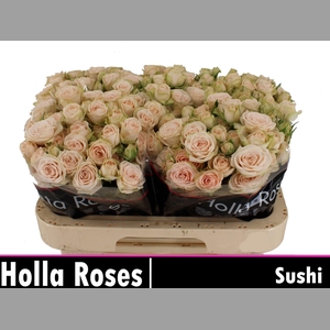 R TR SUSHI