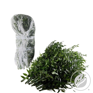 Ruscus Zak 120gr