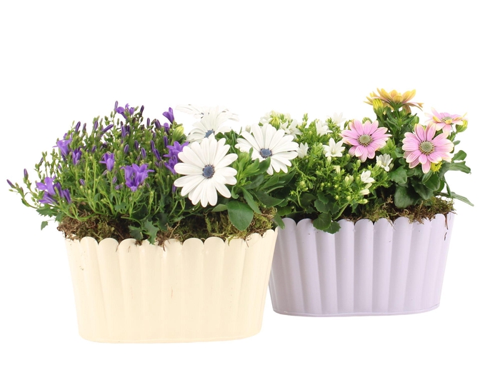 <h4>31556: Outdoor summer arrangement</h4>