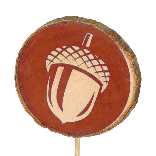 <h4>Bijsteker Acorn hout 6cm+12cm stok bruin</h4>