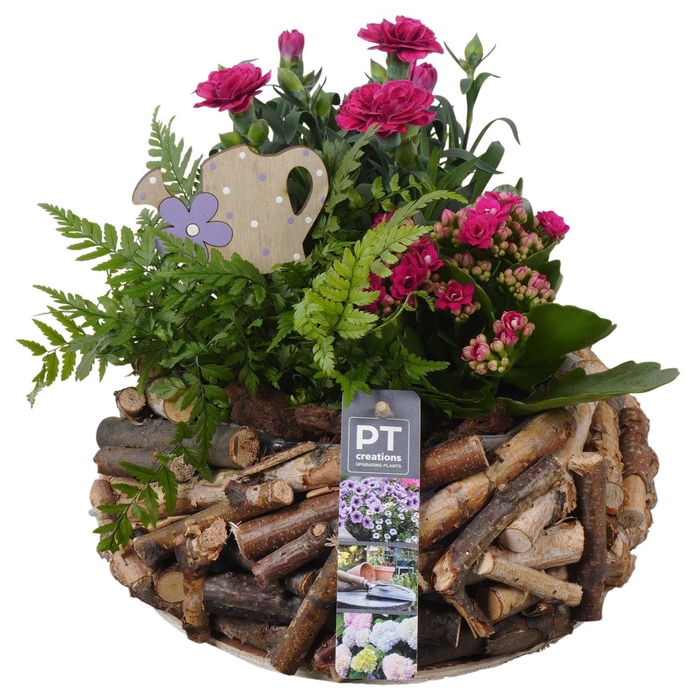 <h4>PTPP6995 Arrangement Patio in houten bak</h4>