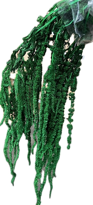 <h4>Pres Amaranthus Bleached Green</h4>