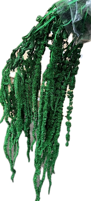 Pres Amaranthus Bleached Apple Green