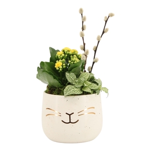 70835: Easter arrangement